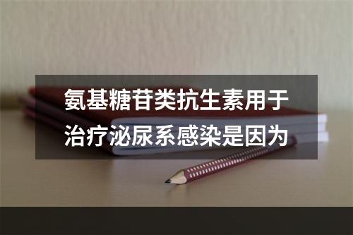 氨基糖苷类抗生素用于治疗泌尿系感染是因为