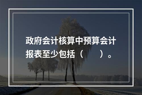 政府会计核算中预算会计报表至少包括（　　）。