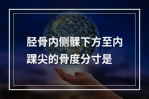 胫骨内侧髁下方至内踝尖的骨度分寸是