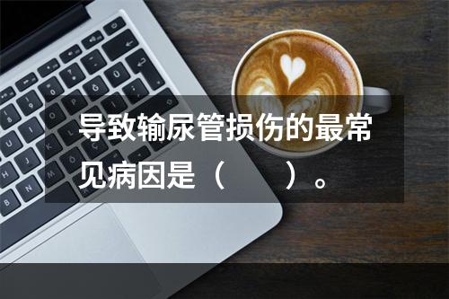 导致输尿管损伤的最常见病因是（　　）。