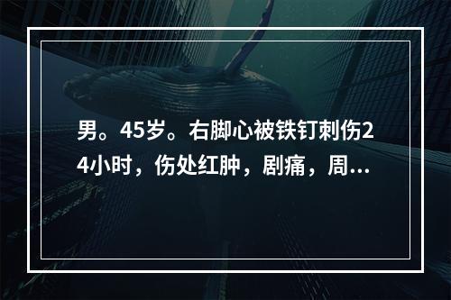 男。45岁。右脚心被铁钉刺伤24小时，伤处红肿，剧痛，周围