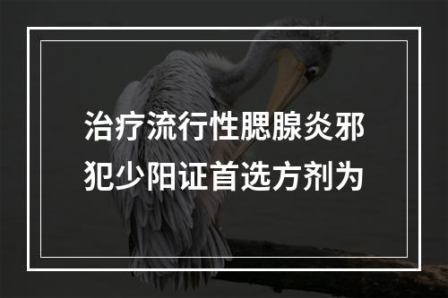 治疗流行性腮腺炎邪犯少阳证首选方剂为