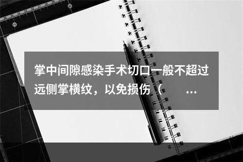 掌中间隙感染手术切口一般不超过远侧掌横纹，以免损伤（　　）