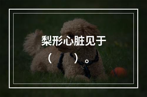 梨形心脏见于（　　）。