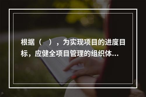 根据（　），为实现项目的进度目标，应健全项目管理的组织体系。