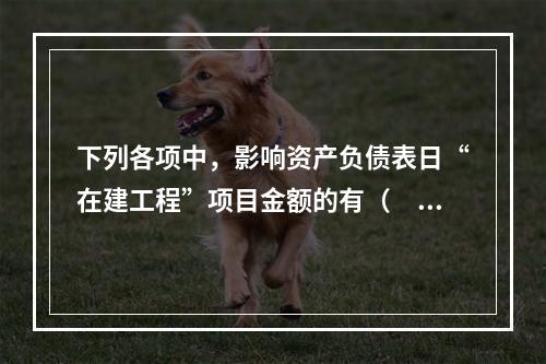 下列各项中，影响资产负债表日“在建工程”项目金额的有（　　）