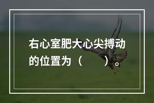 右心室肥大心尖搏动的位置为（　　）。