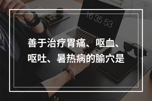 善于治疗胃痛、呕血、呕吐、暑热病的腧穴是