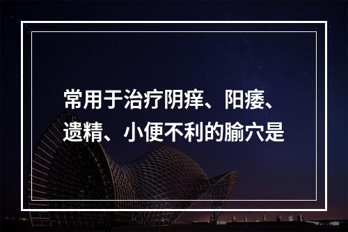 常用于治疗阴痒、阳痿、遗精、小便不利的腧穴是