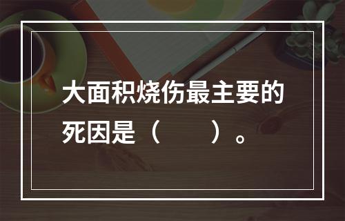 大面积烧伤最主要的死因是（　　）。