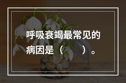 呼吸衰竭最常见的病因是（　　）。