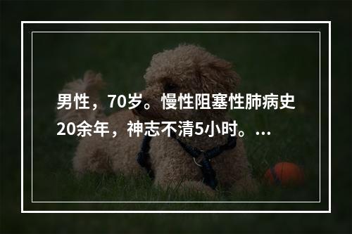 男性，70岁。慢性阻塞性肺病史20余年，神志不清5小时。体