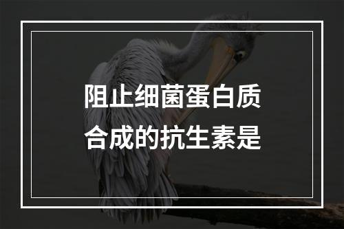 阻止细菌蛋白质合成的抗生素是