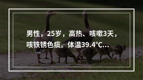 男性，25岁，高热、咳嗽3天，咳铁锈色痰。体温39.4℃。