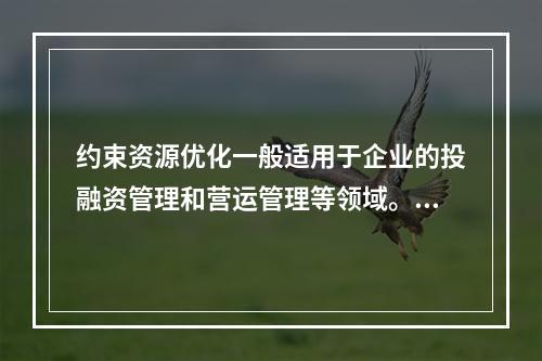 约束资源优化一般适用于企业的投融资管理和营运管理等领域。（　