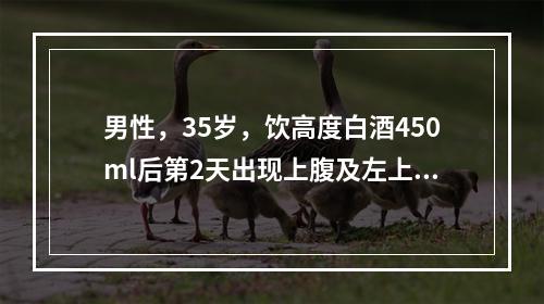 男性，35岁，饮高度白酒450ml后第2天出现上腹及左上腹