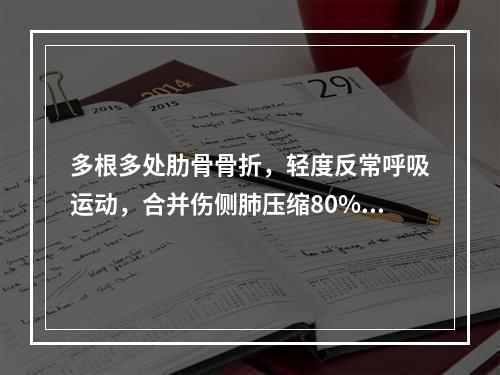 多根多处肋骨骨折，轻度反常呼吸运动，合并伤侧肺压缩80%，