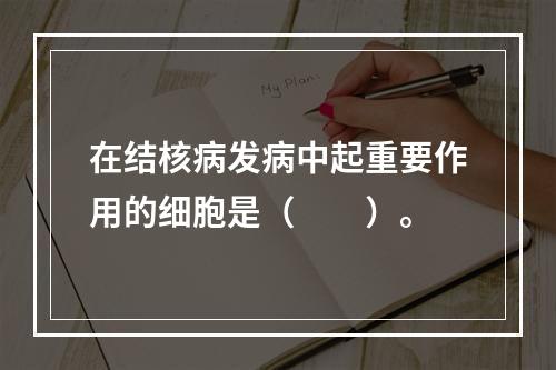 在结核病发病中起重要作用的细胞是（　　）。