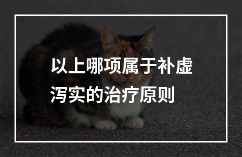 以上哪项属于补虚泻实的治疗原则