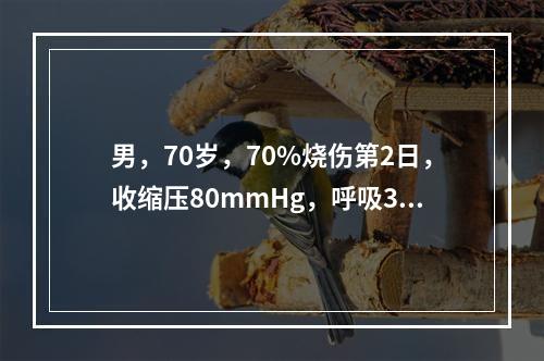 男，70岁，70%烧伤第2日，收缩压80mmHg，呼吸34