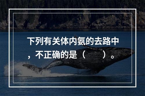 下列有关体内氨的去路中，不正确的是（　　）。