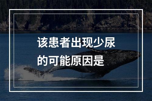 该患者出现少尿的可能原因是