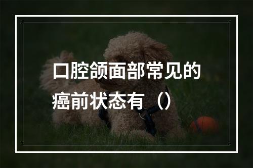 口腔颌面部常见的癌前状态有（）