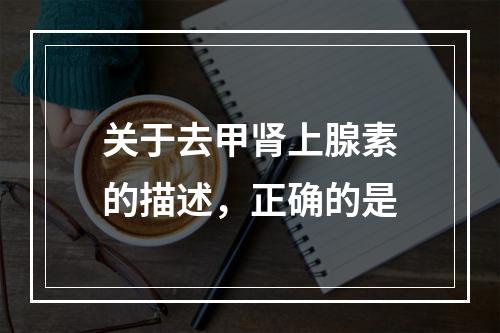 关于去甲肾上腺素的描述，正确的是