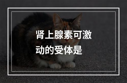 肾上腺素可激动的受体是