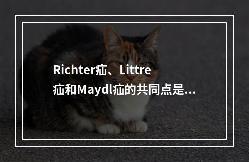 Richter疝、Littre疝和Maydl疝的共同点是（