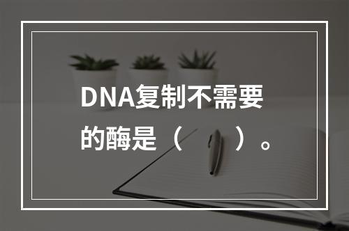 DNA复制不需要的酶是（　　）。