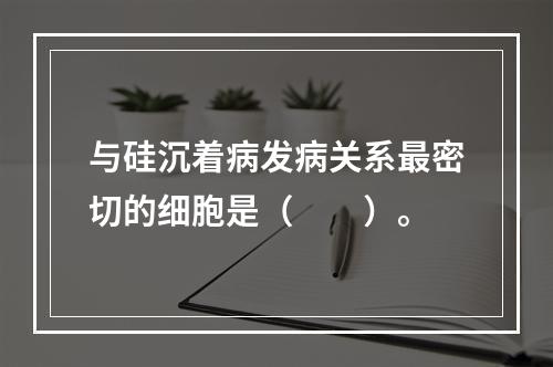 与硅沉着病发病关系最密切的细胞是（　　）。