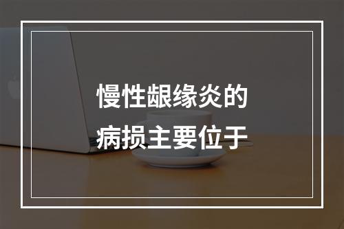 慢性龈缘炎的病损主要位于