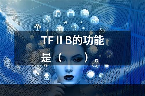 TFⅡB的功能是（　　）。