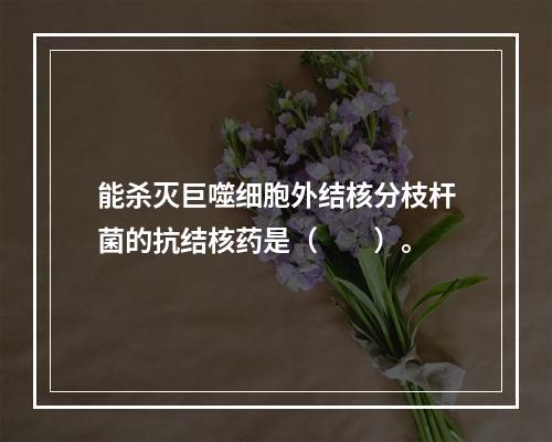 能杀灭巨噬细胞外结核分枝杆菌的抗结核药是（　　）。