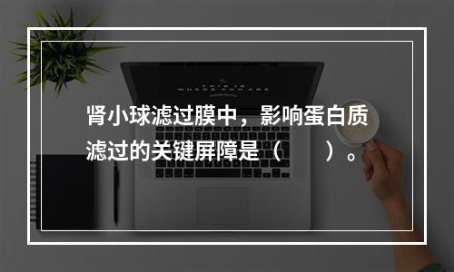 肾小球滤过膜中，影响蛋白质滤过的关键屏障是（　　）。