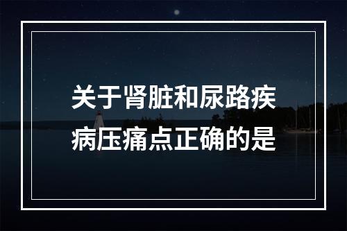 关于肾脏和尿路疾病压痛点正确的是