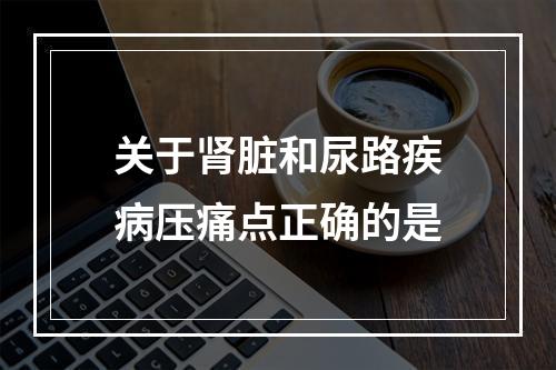 关于肾脏和尿路疾病压痛点正确的是