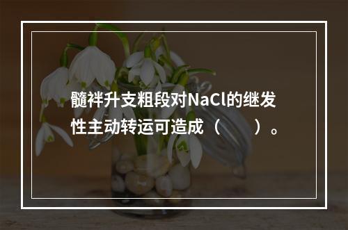 髓袢升支粗段对NaCl的继发性主动转运可造成（　　）。