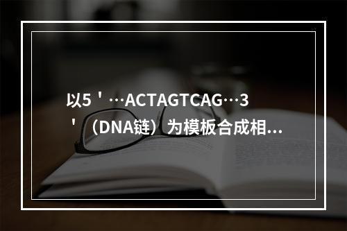 以5＇…ACTAGTCAG…3＇（DNA链）为模板合成相应