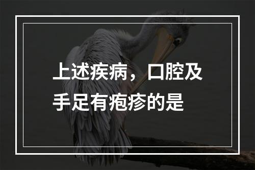 上述疾病，口腔及手足有疱疹的是