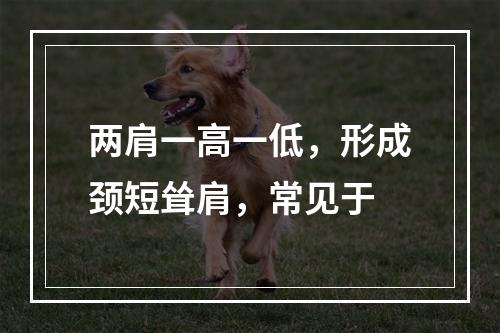 两肩一高一低，形成颈短耸肩，常见于