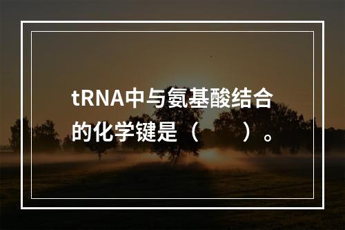 tRNA中与氨基酸结合的化学键是（　　）。