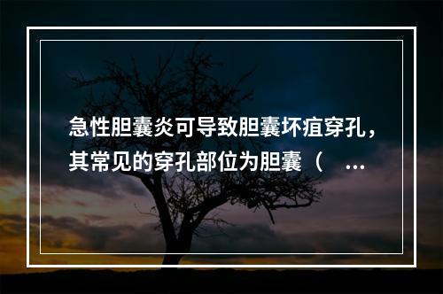 急性胆囊炎可导致胆囊坏疽穿孔，其常见的穿孔部位为胆囊（　　