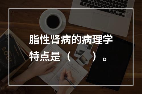 脂性肾病的病理学特点是（　　）。