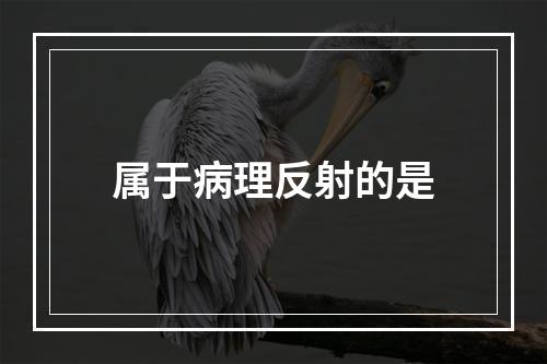 属于病理反射的是