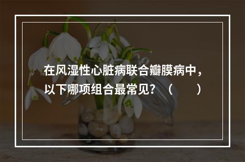 在风湿性心脏病联合瓣膜病中，以下哪项组合最常见？（　　）