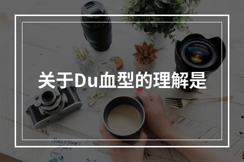 关于Du血型的理解是