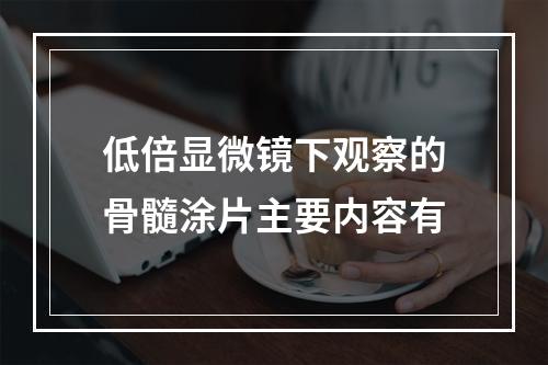 低倍显微镜下观察的骨髓涂片主要内容有