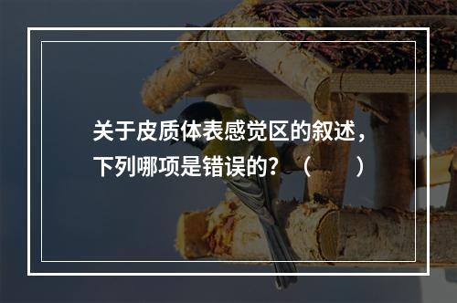 关于皮质体表感觉区的叙述，下列哪项是错误的？（　　）